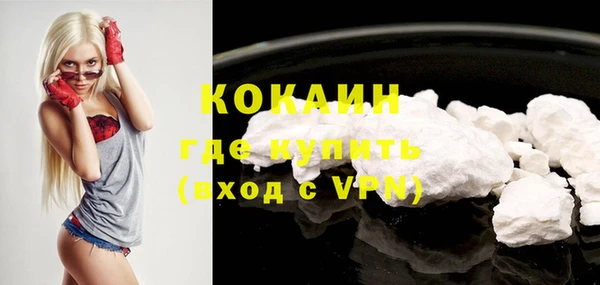 бошки Снежногорск