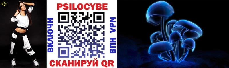 Купить  Струнино  Псилоцибиновые грибы GOLDEN TEACHER 